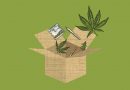 Marijuana-Packaging
